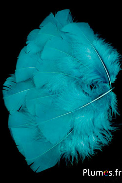 Kalkoen - 6-8 cm - oceaan